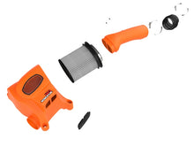 Load image into Gallery viewer, Photo - Unmounted