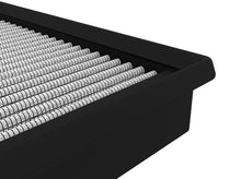 Load image into Gallery viewer, Photo - Close Up