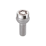 28174  -  Radius Seat Style Wheel Lock Bolts-Chrome