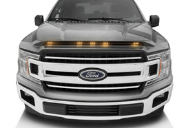 AVS_AeroskinLightshieldColor_17-19_FordF-150_igngotsilver_753096-UX.jpg