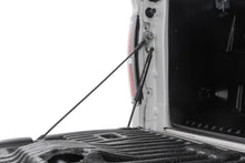 Load image into Gallery viewer, ag4a1687.jpg